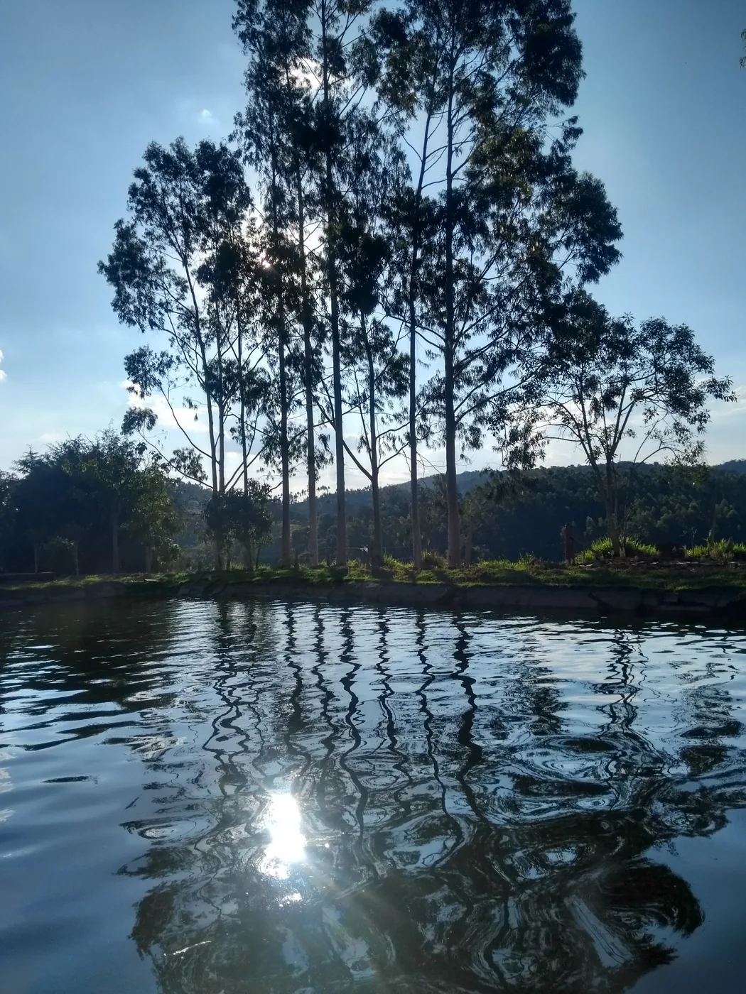 Lago e paisagem